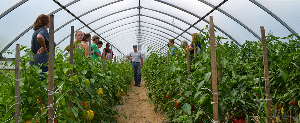 l'agriculture recrute